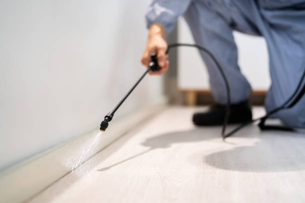 Licensed Pest Control service in Tustin, CA - Show Me Pest Control